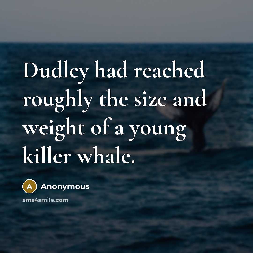 “Dudley had reached roughly the size and weight of a young killer whale.” quote by Anonymous
