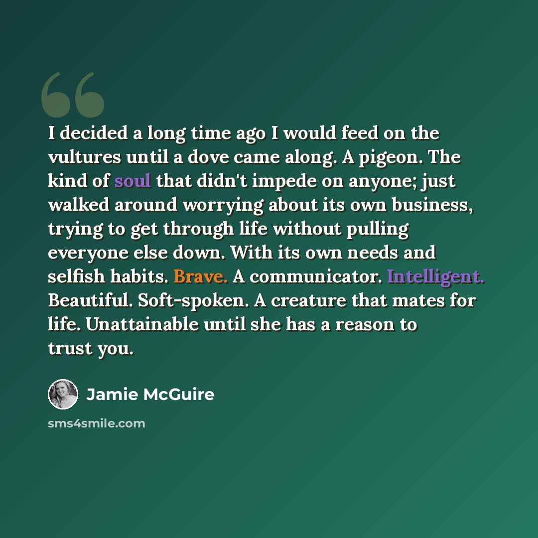 “I decided a long time ago I would feed on the vultures until a dove came along. A pigeon. The kind of soul that didn't impede on anyone; just walked around worrying about its own business, trying to get through life without pulling everyone else down. With its own needs and selfish habits. Brave…” quote by Jamie McGuire