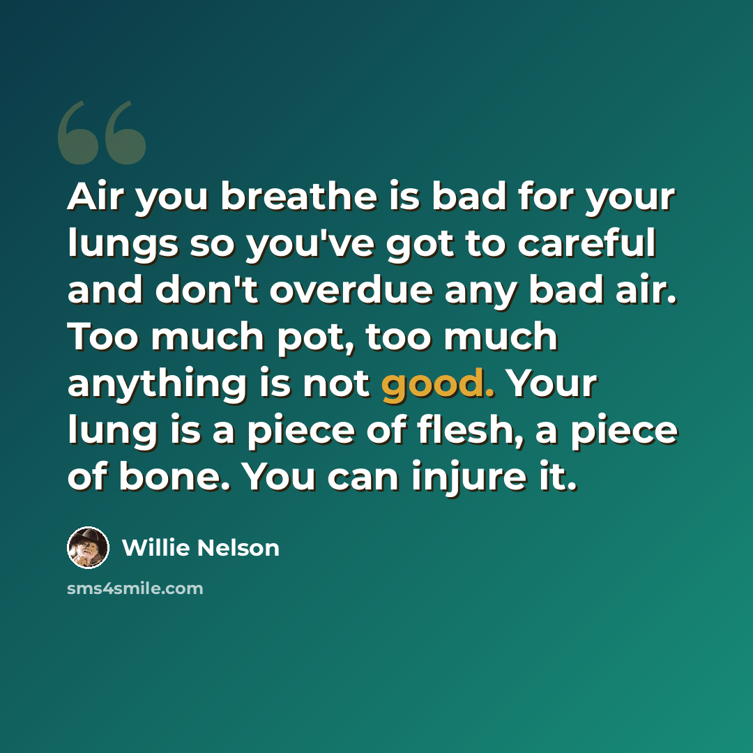 “Air you breathe is bad for your lungs so you've got to careful and don't overdue any bad air. Too much pot, too much anything is not good. Your lung is a piece of flesh, a piece of bone. You can injure it.” quote by Willie Nelson