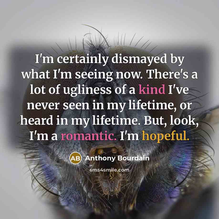 “I'm certainly dismayed by what I'm seeing now. There's a lot of ugliness of a kind I've never seen in my lifetime, or heard in my lifetime. But, look, I'm a romantic. I'm hopeful.” quote by Anthony Bourdain