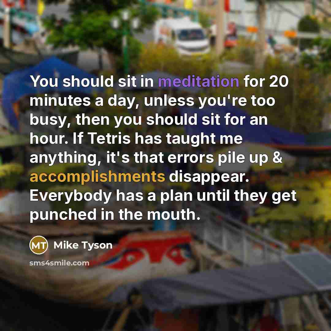 “You should sit in meditation for 20 minutes a day, unless you're too busy, then you should sit for an hour. If Tetris has taught me anything, it's that errors pile up & accomplishments disappear. Everybody has a plan until they get punched in the mouth.” quote by Mike Tyson