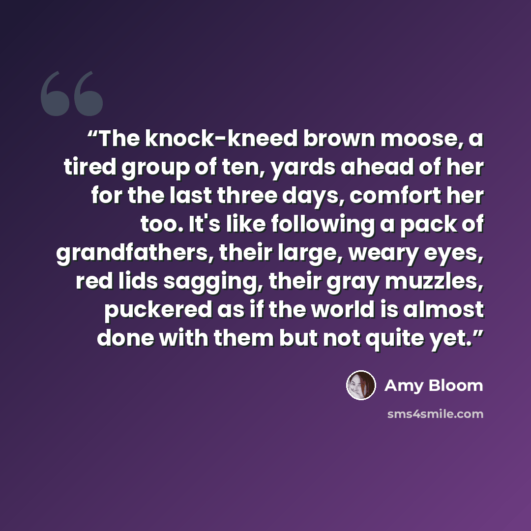 “The knock-kneed brown moose, a tired group of ten, yards ahead of her for the last three days, comfort her too. It's like following a pack of grandfathers, their large, weary eyes, red lids sagging, their gray muzzles, puckered as if the world is almost done with them but not quite yet.” quote by Amy Bloom