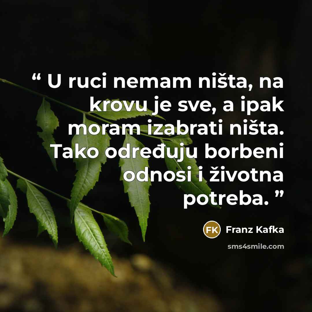 “U ruci nemam ništa, na krovu je sve, a ipak moram izabrati ništa. Tako određuju borbeni odnosi i životna potreba.” quote by Franz Kafka