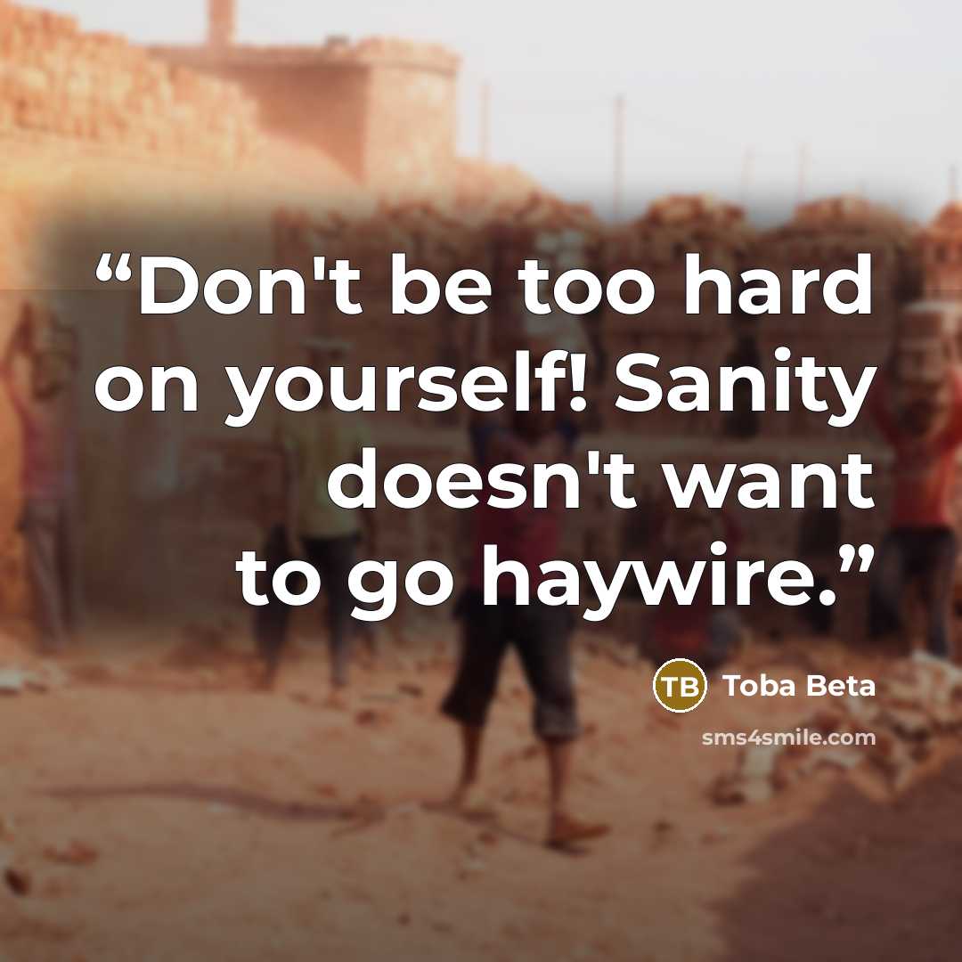 “Don't be too hard on yourself! Sanity doesn't want to go haywire.” quote by Toba Beta