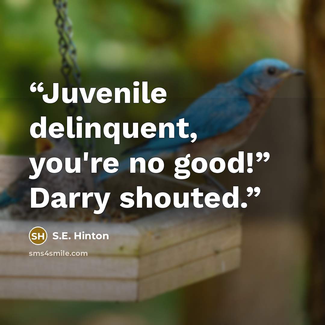 “Juvenile delinquent, you're no good!” Darry shouted.” quote by S.E. Hinton