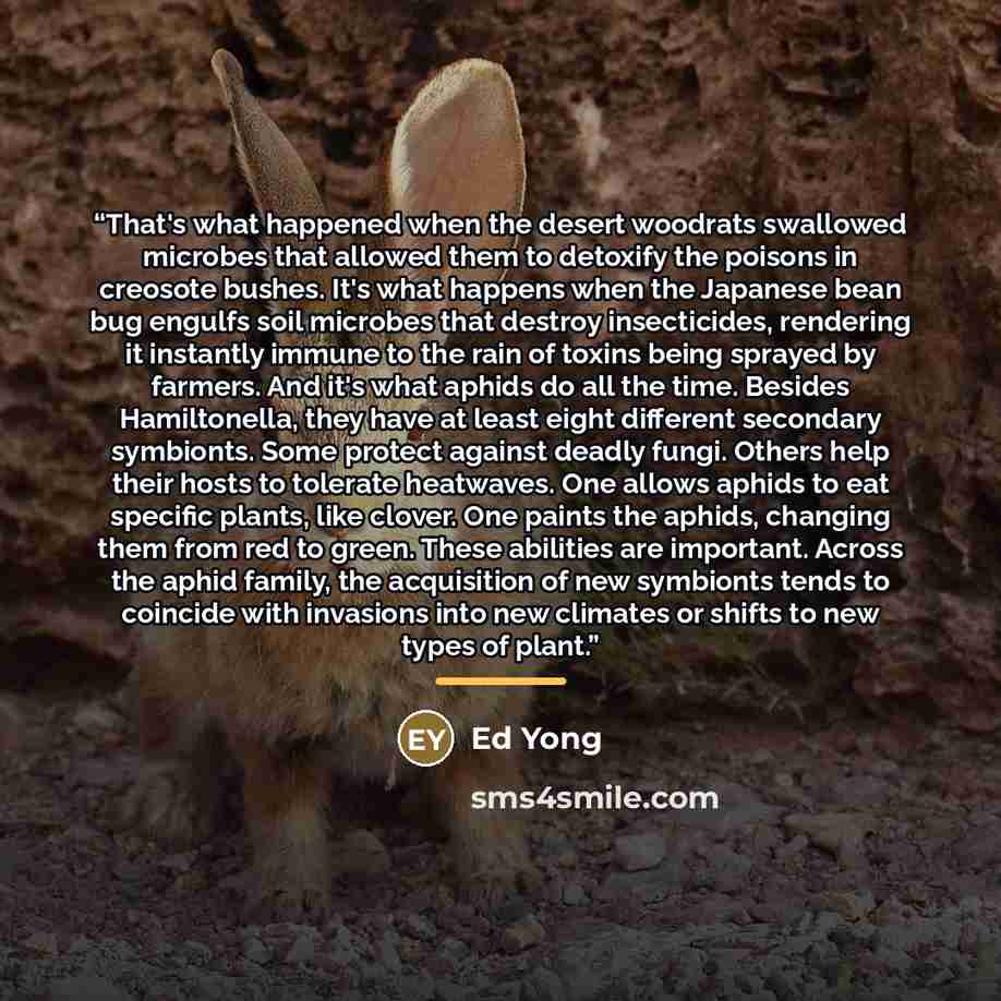 “That's what happened when the desert woodrats swallowed microbes that allowed them to detoxify the poisons in creosote bushes. It's what happens when the Japanese bean bug engulfs soil microbes that destroy insecticides, rendering it instantly immune to the rain of toxins being sprayed by farmers…” quote by Ed Yong