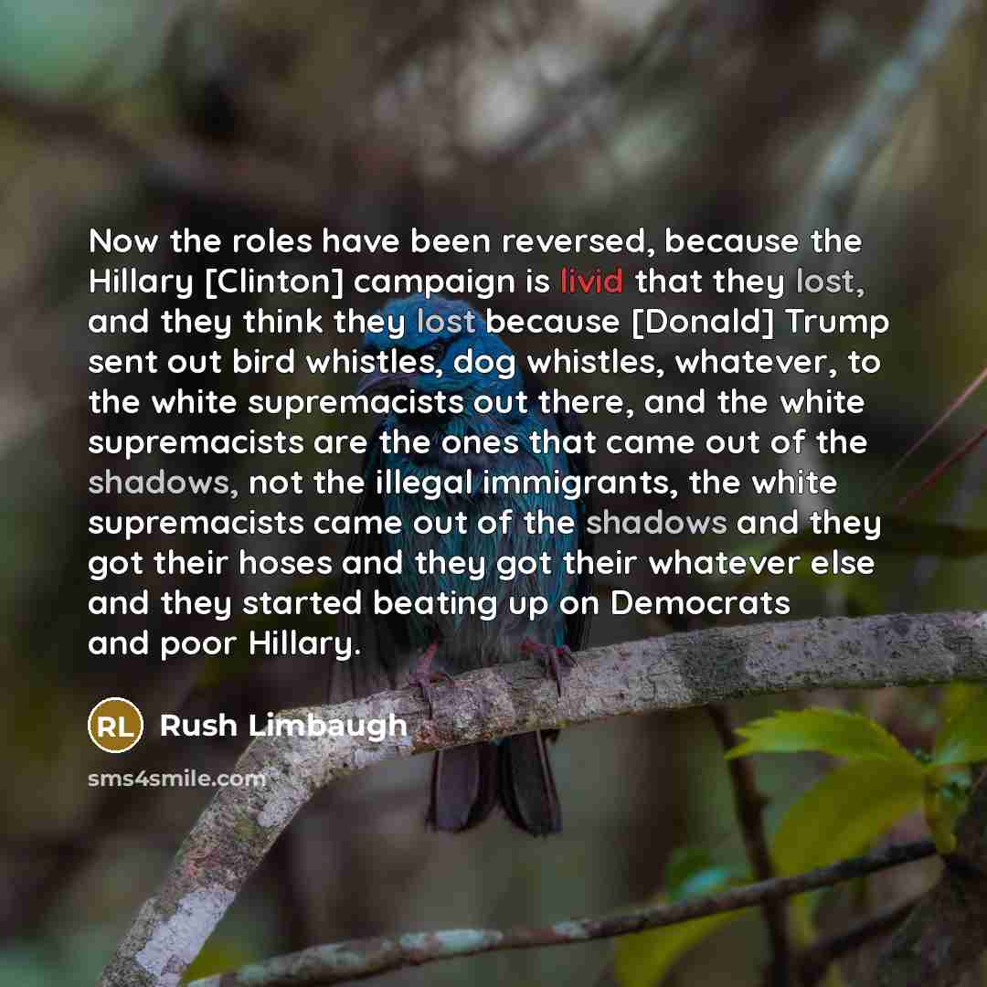 “Now the roles have been reversed, because the Hillary [Clinton] campaign is livid that they lost, and they think they lost because [Donald] Trump sent out bird whistles, dog whistles, whatever, to the white supremacists out there, and the white supremacists are the ones that came out of the…” quote by Rush Limbaugh