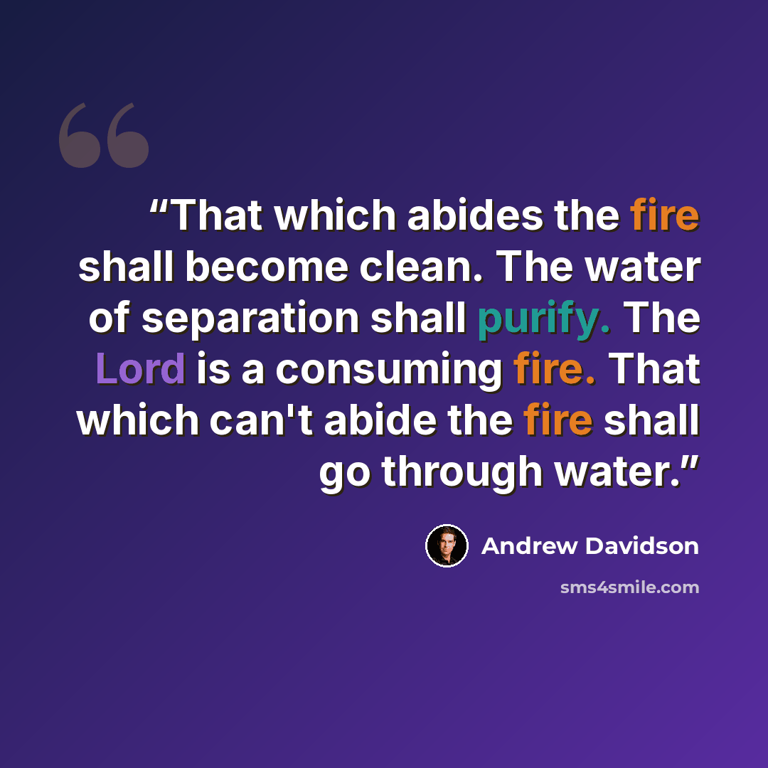 “That which abides the fire shall become clean. The water of separation shall purify. The Lord is a consuming fire. That which can't abide the fire shall go through water.” quote by Andrew Davidson