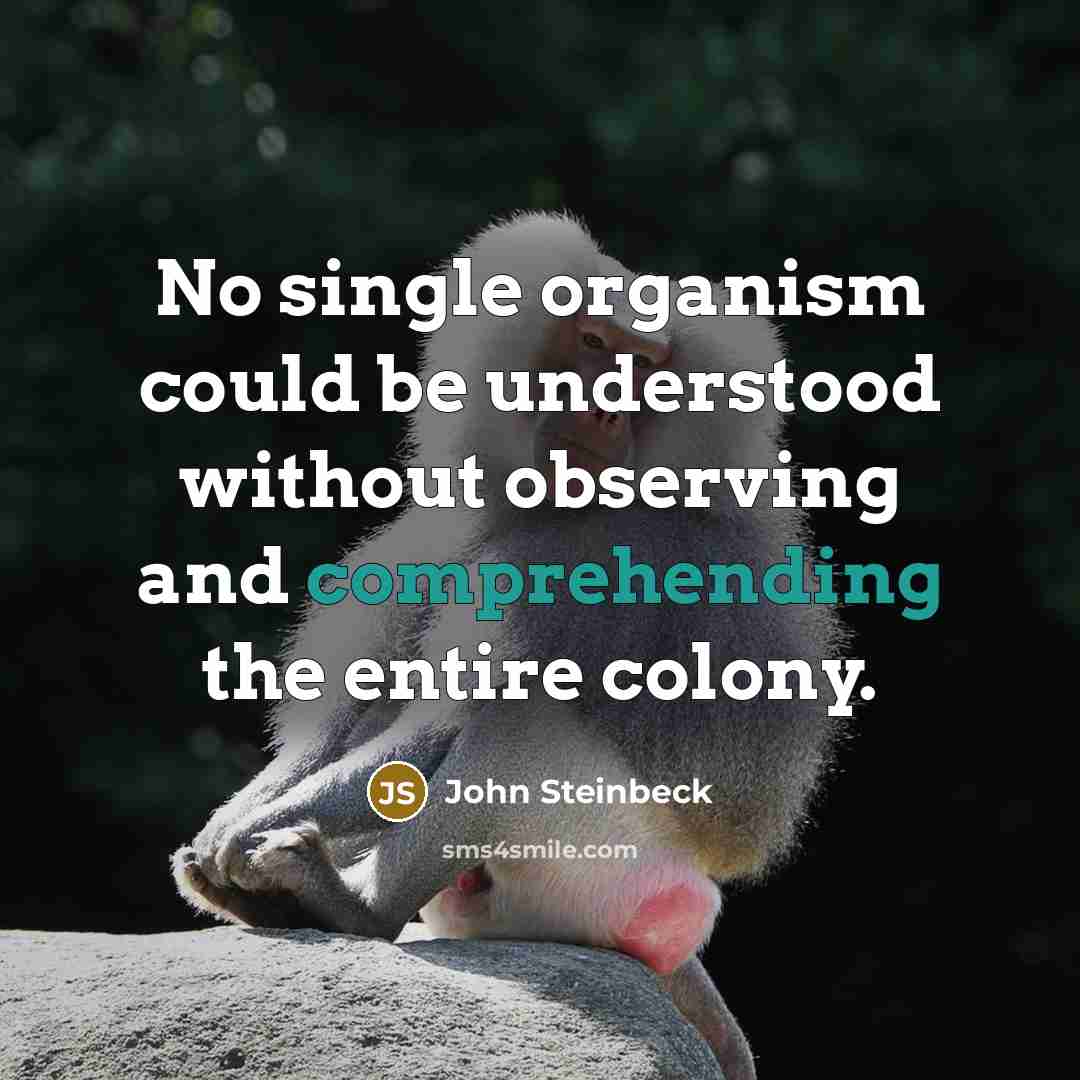 “No single organism could be understood without observing and comprehending the entire colony.” quote by John Steinbeck