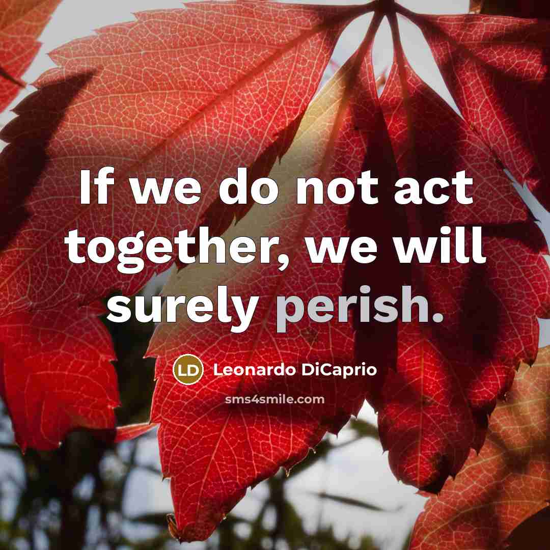 “If we do not act together, we will surely perish.” quote by Leonardo DiCaprio