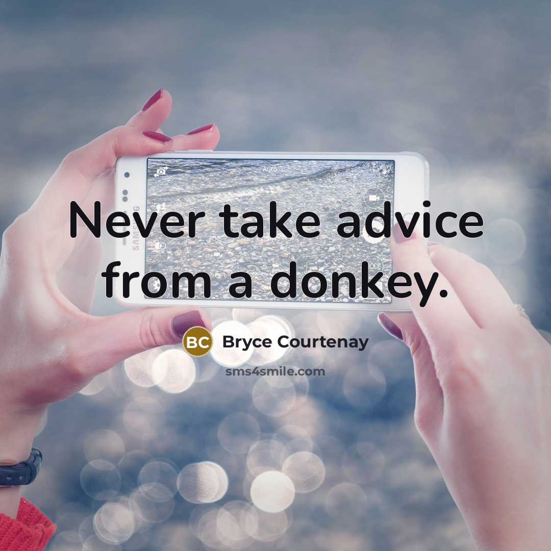“Never take advice from a donkey.” quote by Bryce Courtenay