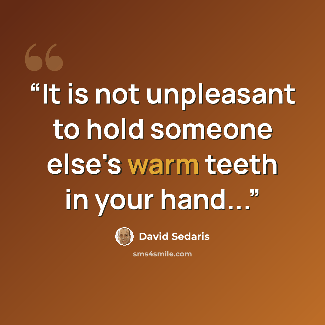 “It is not unpleasant to hold someone else's warm teeth in your hand...” quote by David Sedaris