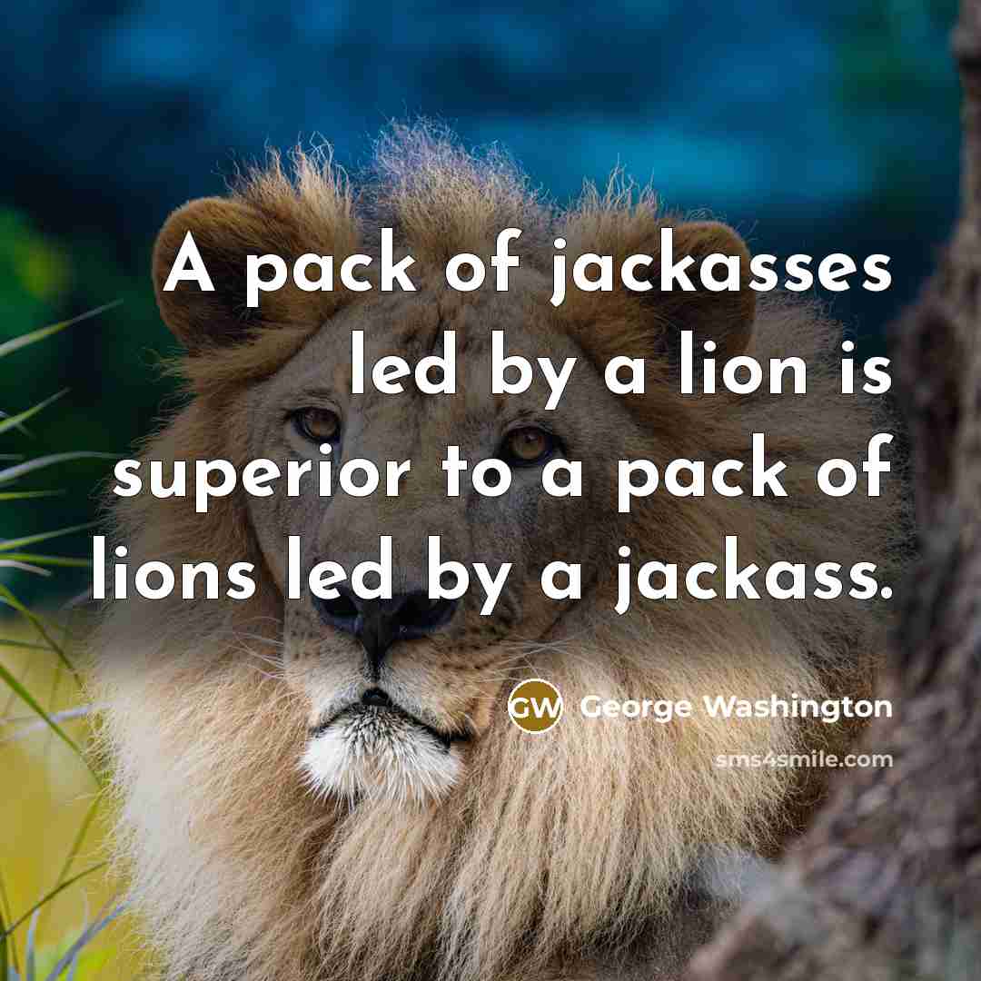 “A pack of jackasses led by a lion is superior to a pack of lions led by a jackass.” quote by George Washington