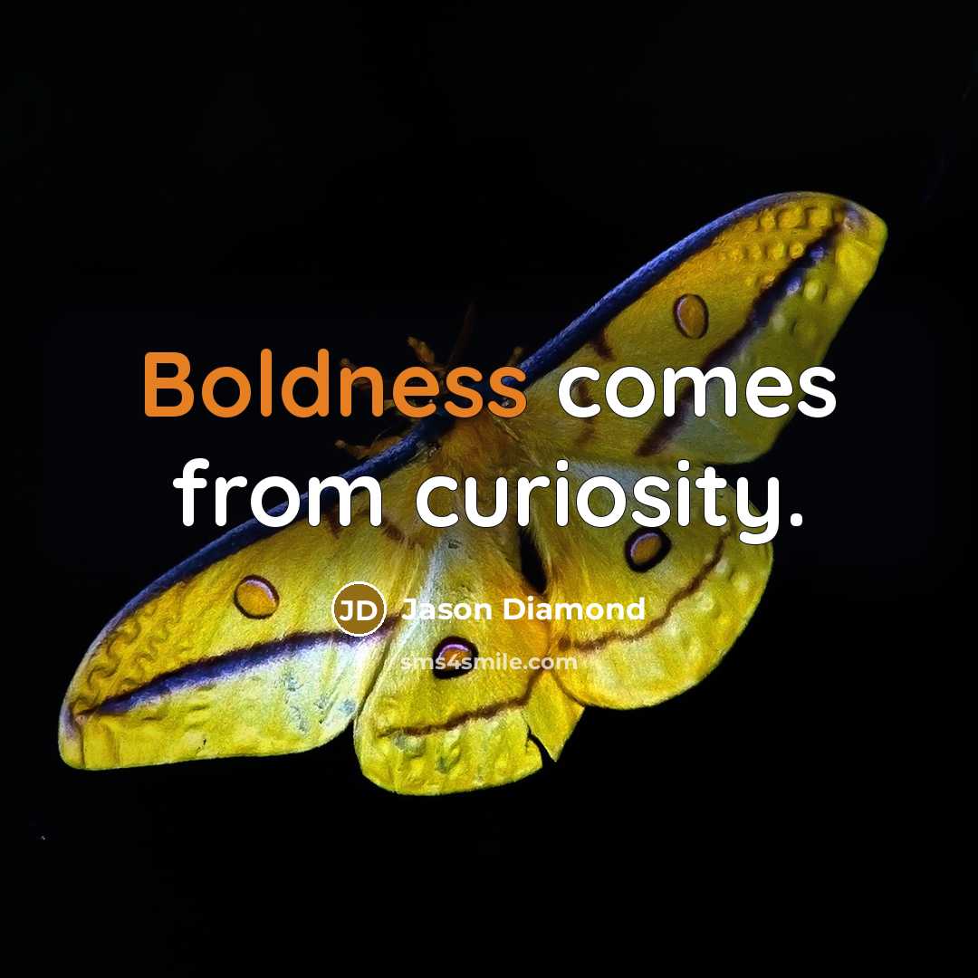 “Boldness comes from curiosity.” quote by Jason Diamond