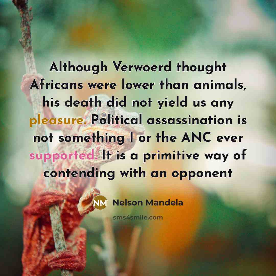“Although Verwoerd thought Africans were lower than animals, his death did not yield us any pleasure. Political assassination is not something I or the ANC ever supported. It is a primitive way of contending with an opponent” quote by Nelson Mandela