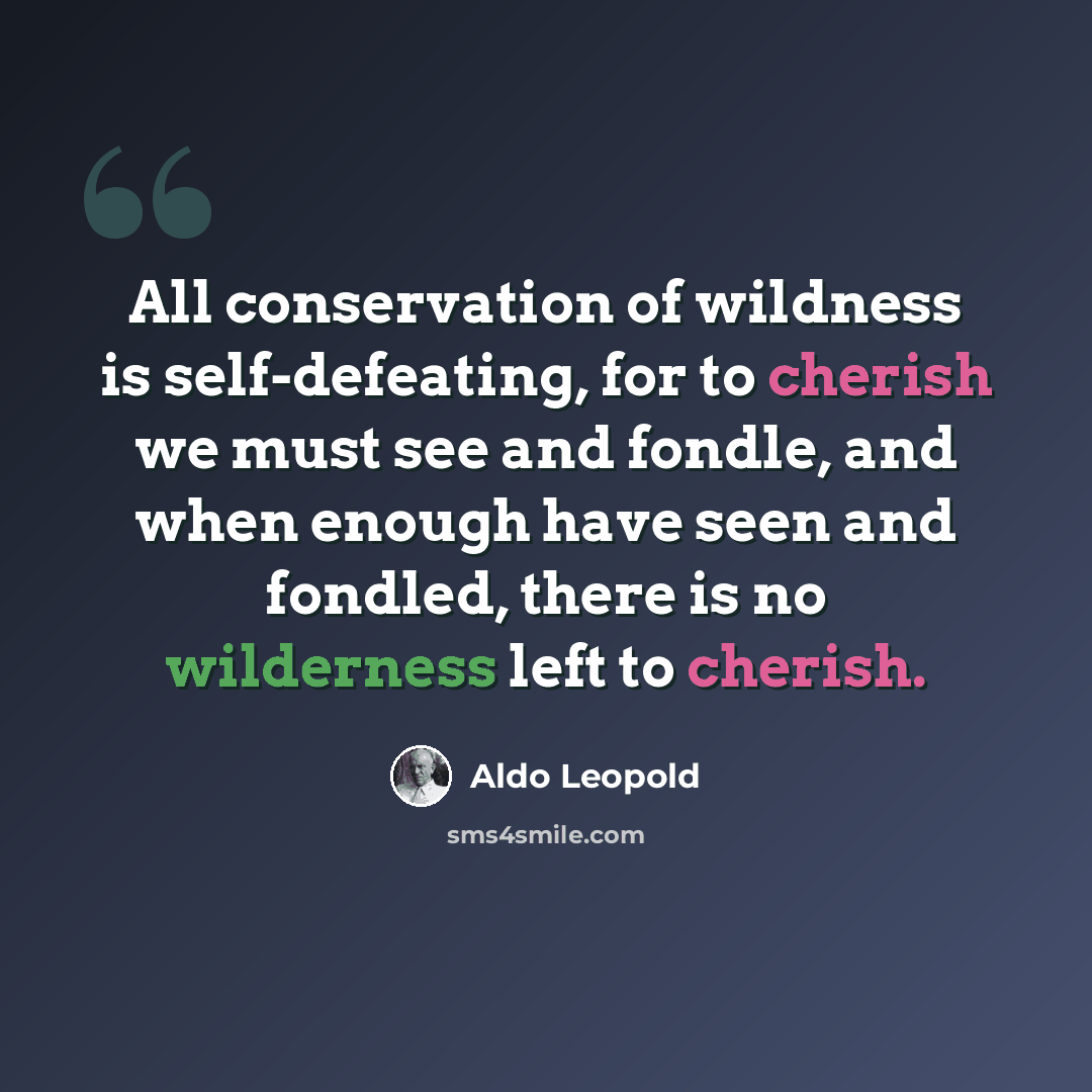 “All conservation of wildness is self-defeating, for to cherish we must see and fondle, and when enough have seen and fondled, there is no wilderness left to cherish.” quote by Aldo Leopold