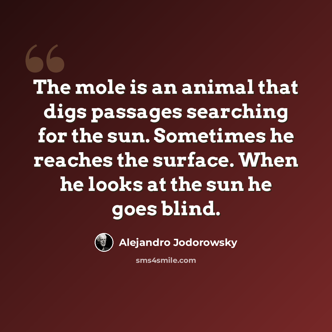 “The mole is an animal that digs passages searching for the sun. Sometimes he reaches the surface. When he looks at the sun he goes blind.” quote by Alejandro Jodorowsky