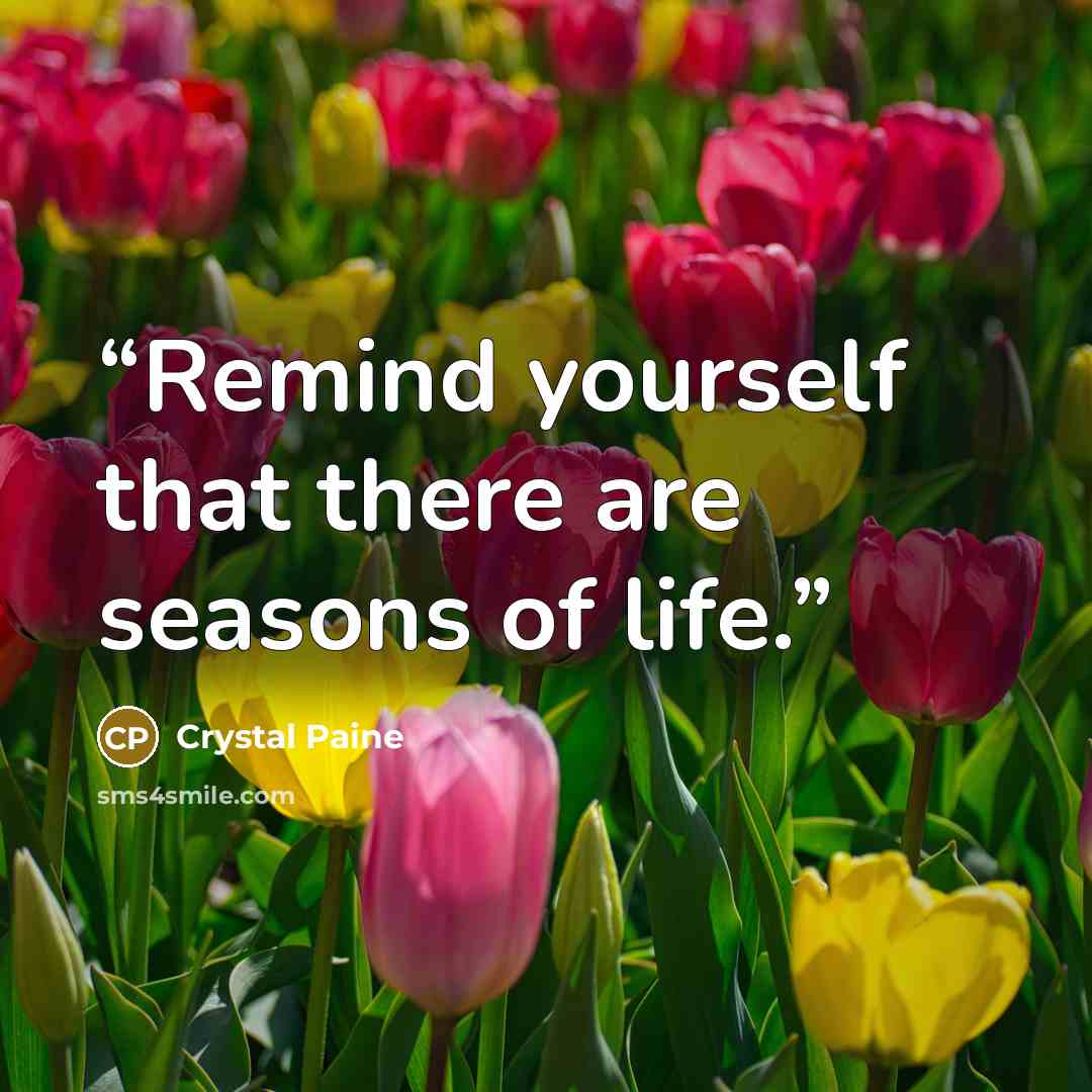 “Remind yourself that there are seasons of life.” quote by Crystal Paine