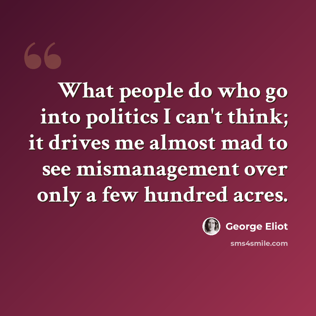 “What people do who go into politics I can't think; it drives me almost mad to see mismanagement over only a few hundred acres.” quote by George Eliot