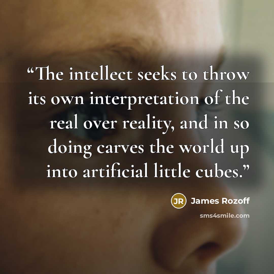 “The intellect seeks to throw its own interpretation of the real over reality, and in so doing carves the world up into artificial little cubes.” quote by James Rozoff