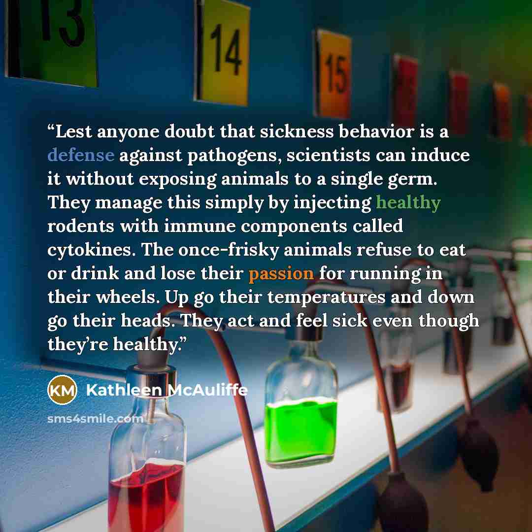 “Lest anyone doubt that sickness behavior is a defense against pathogens, scientists can induce it without exposing animals to a single germ. They manage this simply by injecting healthy rodents with immune components called cytokines. The once-frisky animals refuse to eat or drink and lose their…” quote by Kathleen McAuliffe