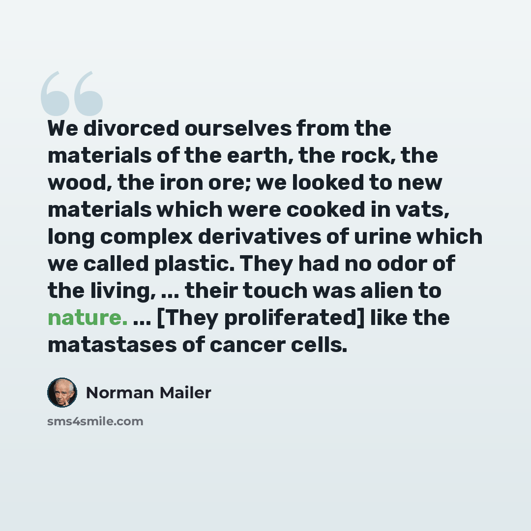 “We divorced ourselves from the materials of the earth, the rock, the wood, the iron ore; we looked to new materials which were cooked in vats, long complex derivatives of urine which we called plastic. They had no odor of the living, ... their touch was alien to nature. ... [They proliferated]…” quote by Norman Mailer