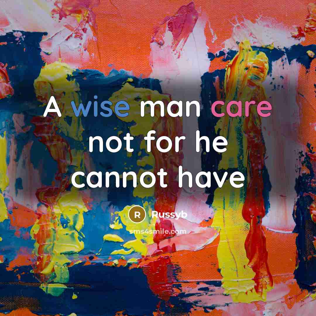 “A wise man care not for he cannot have” quote by Russyb