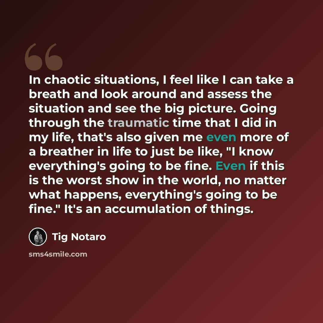 “In chaotic situations, I feel like I can take a breath and look around and assess the situation and see the big picture. Going through the traumatic time that I did in my life, that's also given me even more of a breather in life to just be like, "I know everything's going to be fine. Even if this…” quote by Tig Notaro