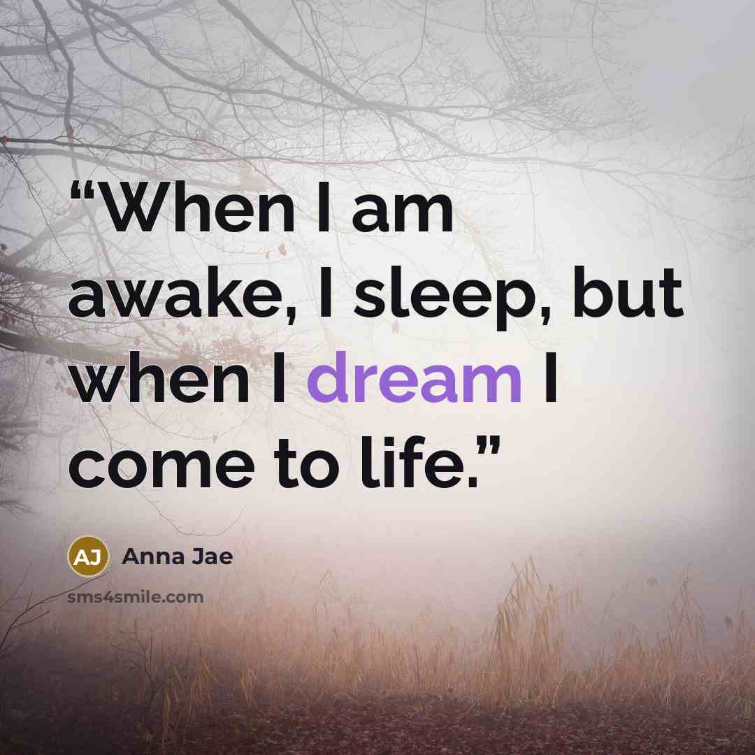 “When I am awake, I sleep, but when I dream I come to life.” quote by Anna Jae