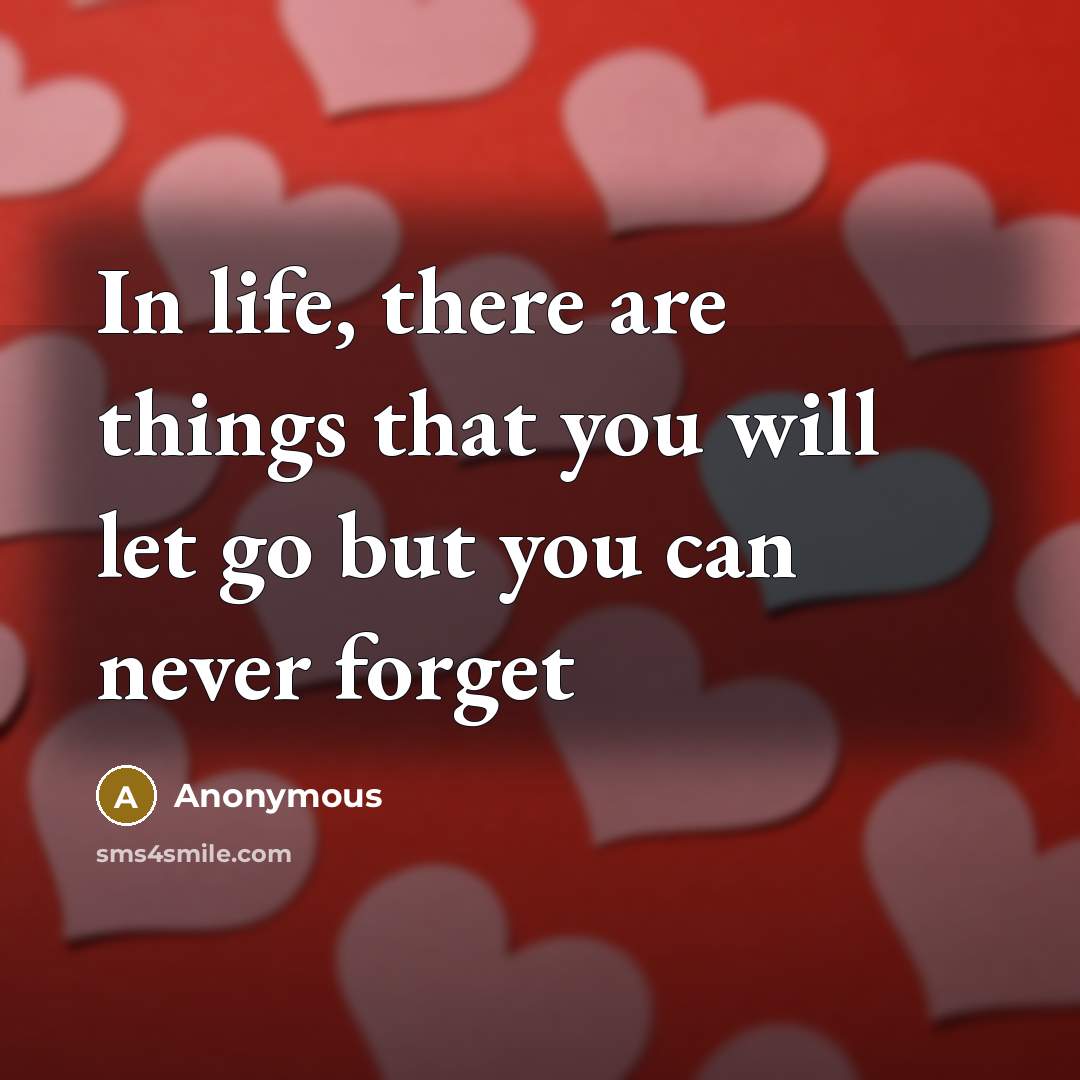 “In life, there are things that you will let go but you can never forget” quote by Anonymous