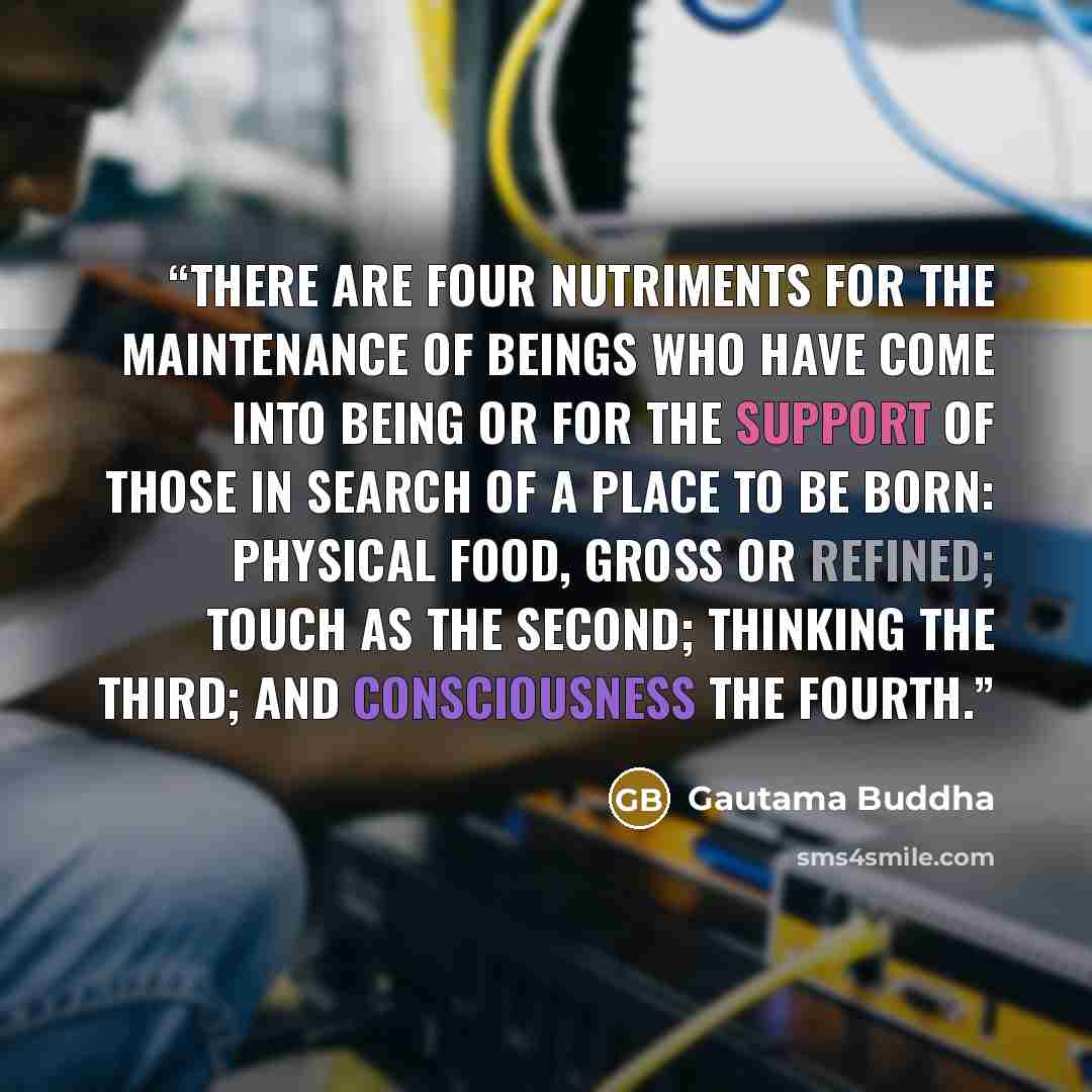 “There are four nutriments for the maintenance of beings who have come into being or for the support of those in search of a place to be born: Physical food, gross or refined; touch as the second; thinking the third; and consciousness the fourth.” quote by Gautama Buddha