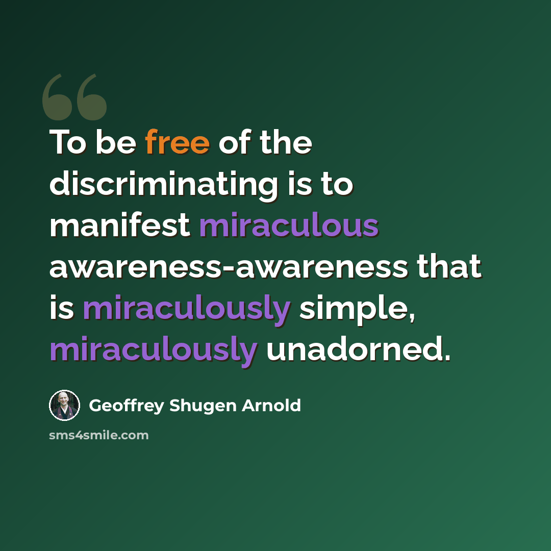 “To be free of the discriminating is to manifest miraculous awareness-awareness that is miraculously simple, miraculously unadorned.” quote by Geoffrey Shugen Arnold