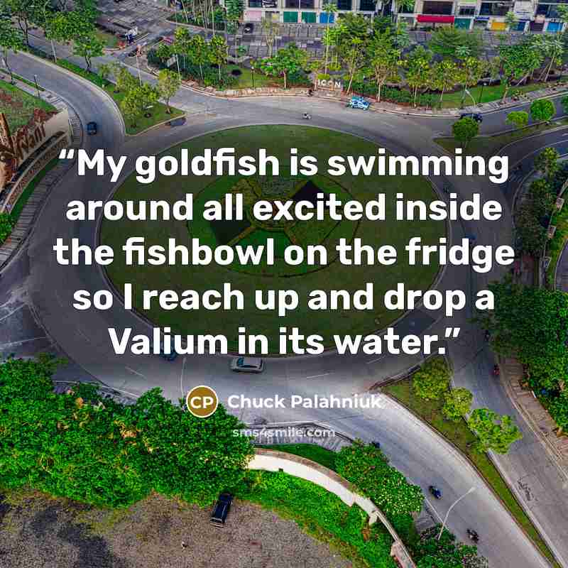 “My goldfish is swimming around all excited inside the fishbowl on the fridge so I reach up and drop a Valium in its water.” quote by Chuck Palahniuk