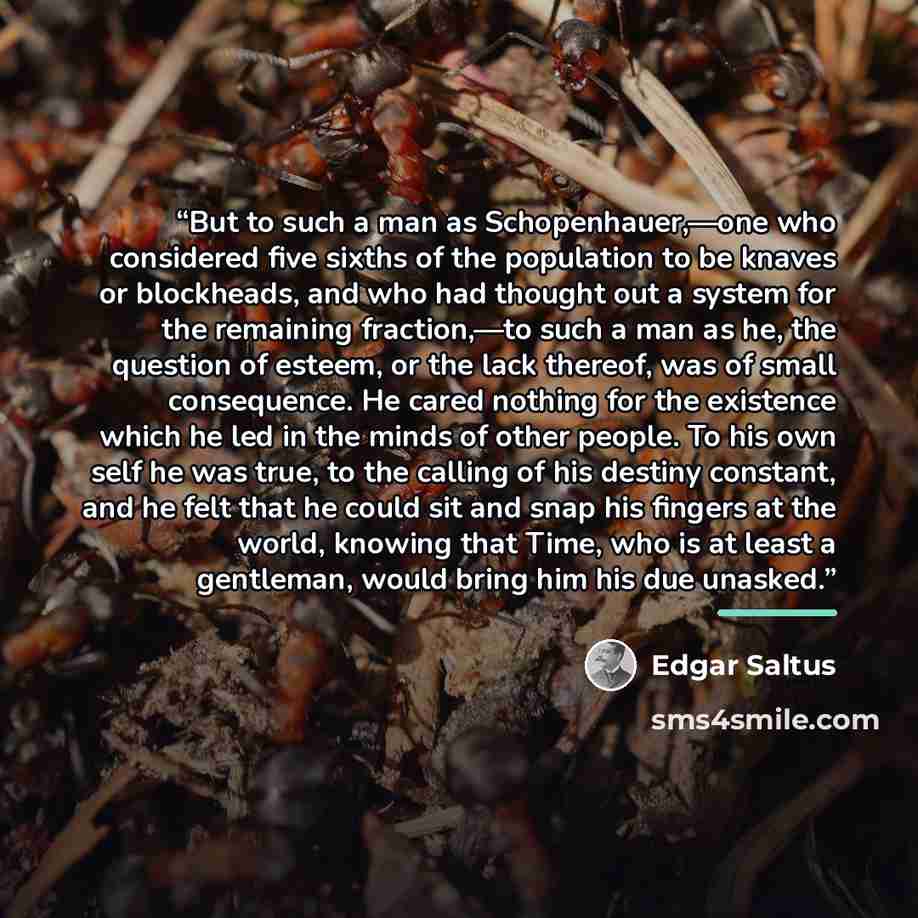 “But to such a man as Schopenhauer,—one who considered five sixths of the population to be knaves or blockheads, and who had thought out a system for the remaining fraction,—to such a man as he, the question of esteem, or the lack thereof, was of small consequence. He cared nothing for the…” quote by Edgar Saltus