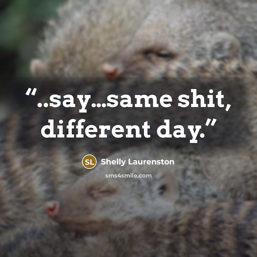 “..say…same shit, different day.” quote by Shelly Laurenston