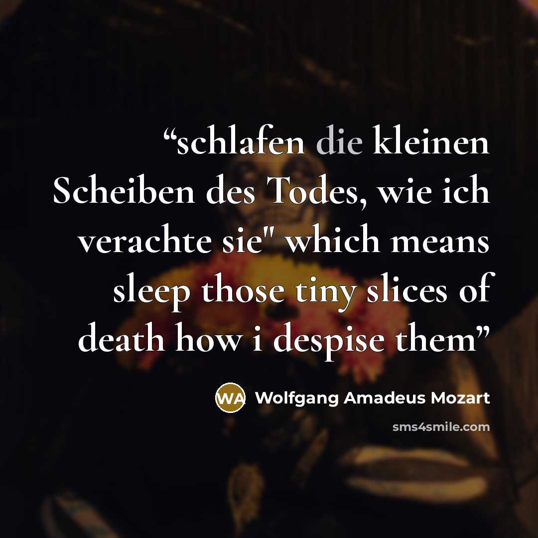 “schlafen die kleinen Scheiben des Todes, wie ich verachte sie" which means sleep those tiny slices of death how i despise them” quote by Wolfgang Amadeus Mozart
