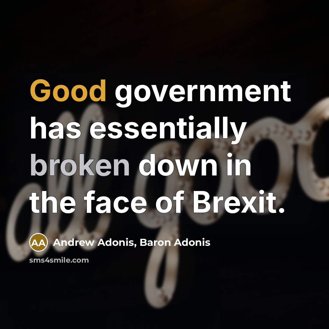 “Good government has essentially broken down in the face of Brexit.” quote by Andrew Adonis, Baron Adonis
