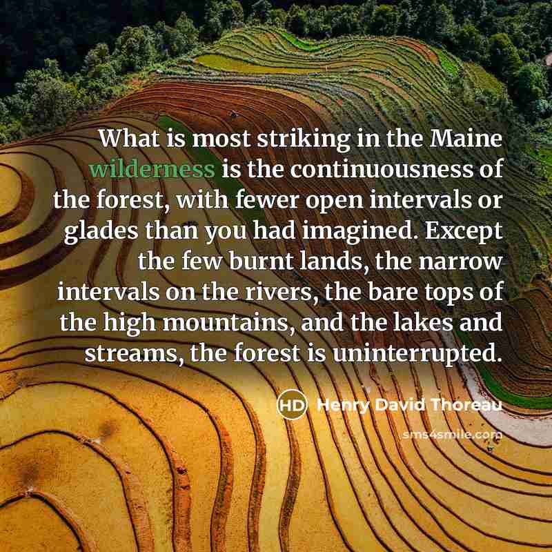 “What is most striking in the Maine wilderness is the continuousness of the forest, with fewer open intervals or glades than you had imagined. Except the few burnt lands, the narrow intervals on the rivers, the bare tops of the high mountains, and the lakes and streams, the forest is uninterrupted.” quote by Henry David Thoreau