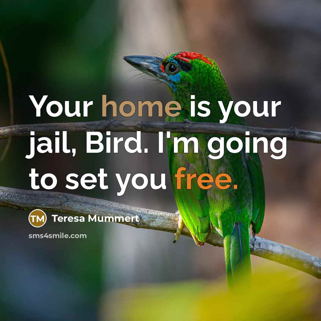 “Your home is your jail, Bird. I'm going to set you free.” quote by Teresa Mummert