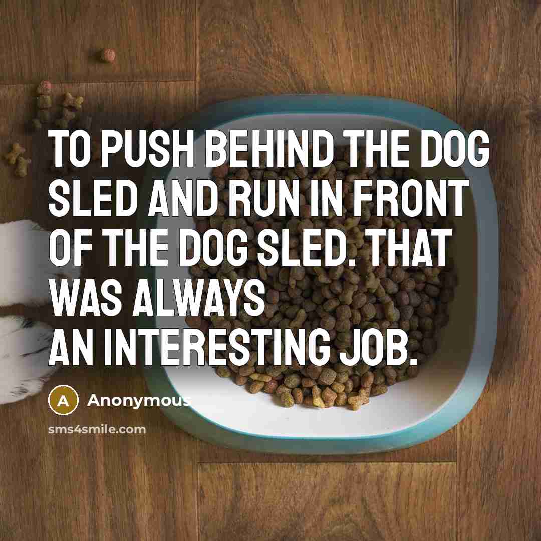 “To push behind the dog sled and run in front of the dog sled. That was always an interesting job.” quote by Anonymous