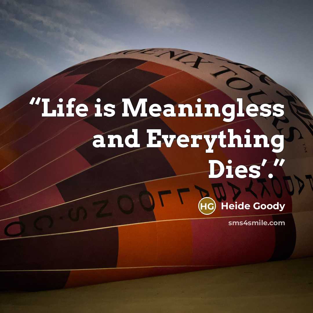 “Life is Meaningless and Everything Dies’.” quote by Heide Goody