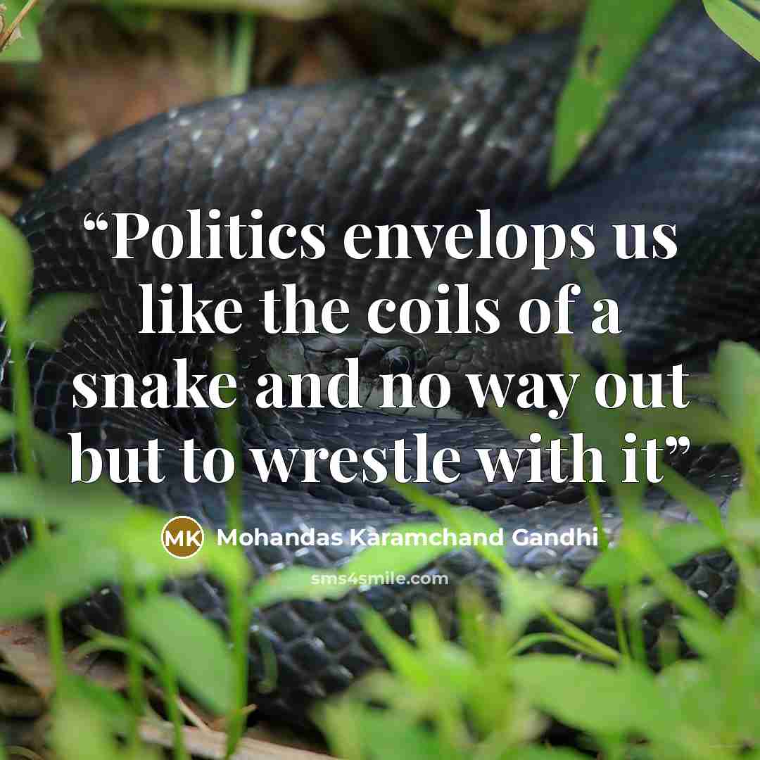 “Politics envelops us like the coils of a snake and no way out but to wrestle with it” quote by Mohandas Karamchand Gandhi