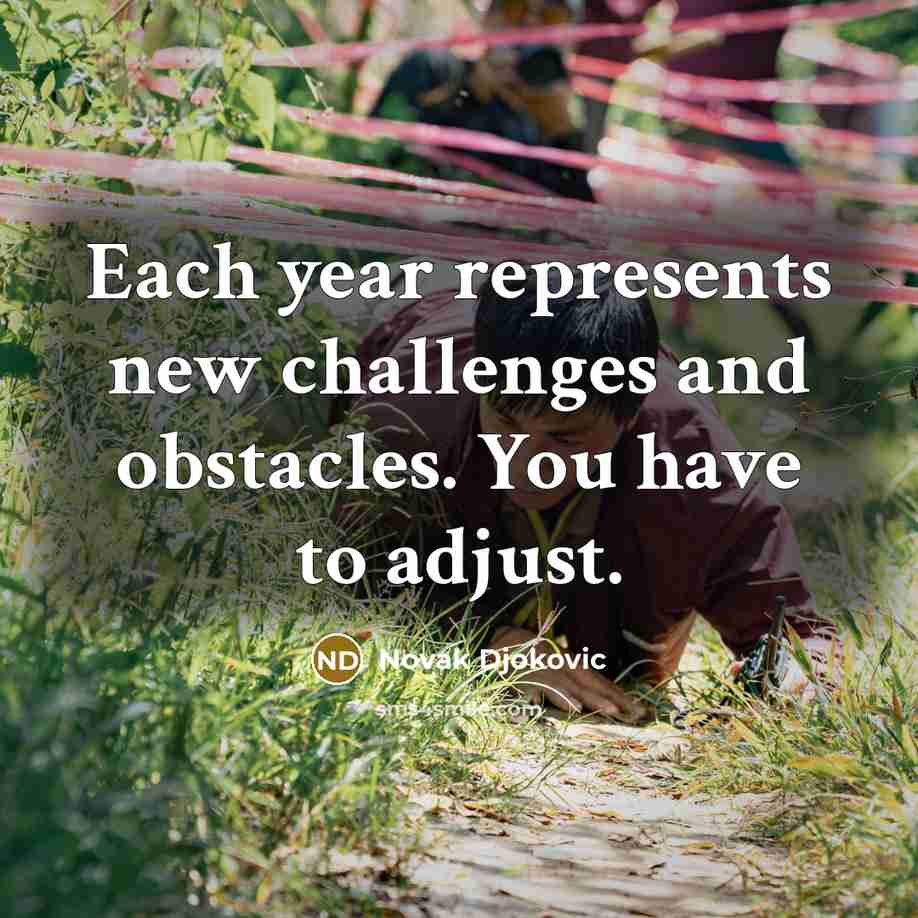 “Each year represents new challenges and obstacles. You have to adjust.” quote by Novak Djokovic