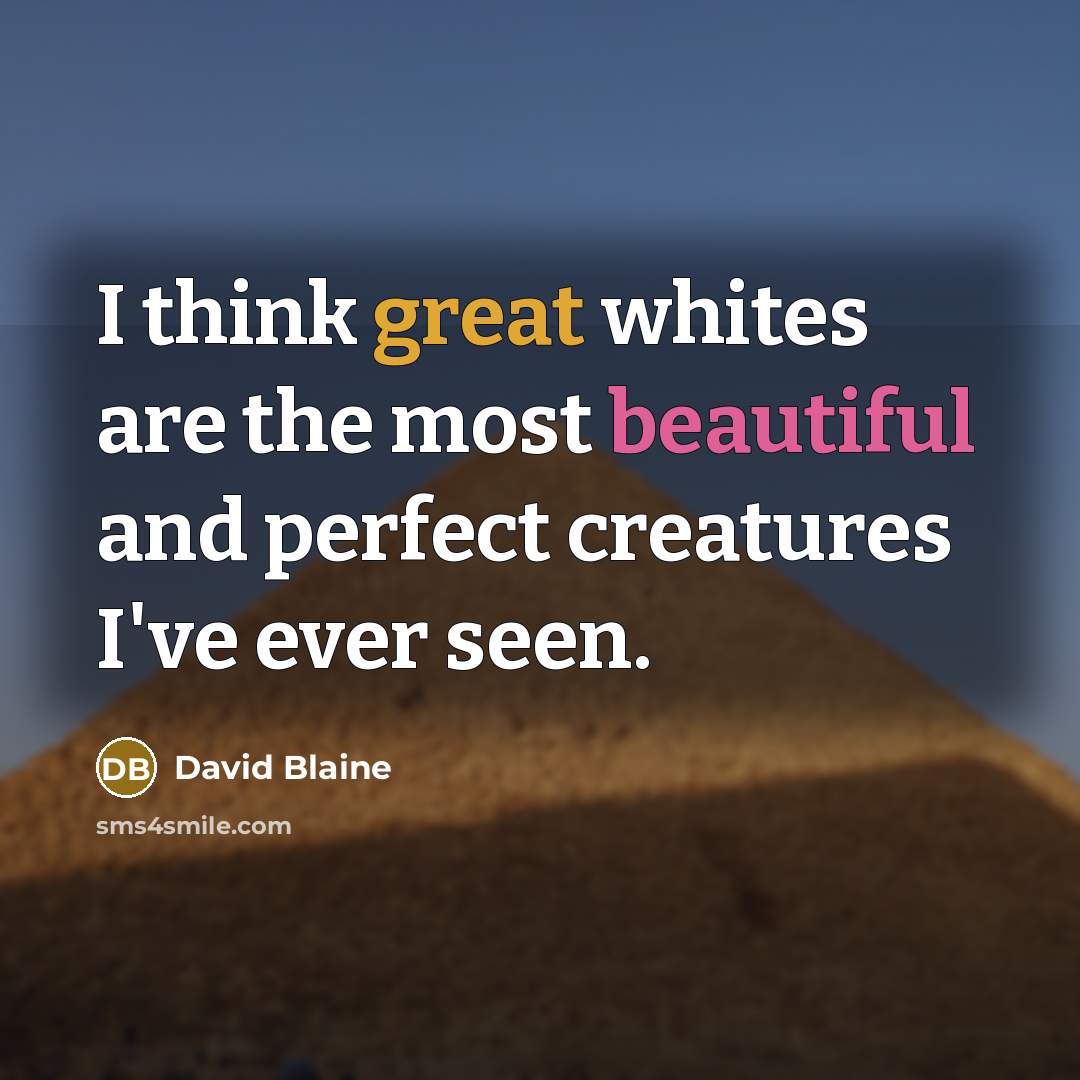 “I think great whites are the most beautiful and perfect creatures I've ever seen.” quote by David Blaine