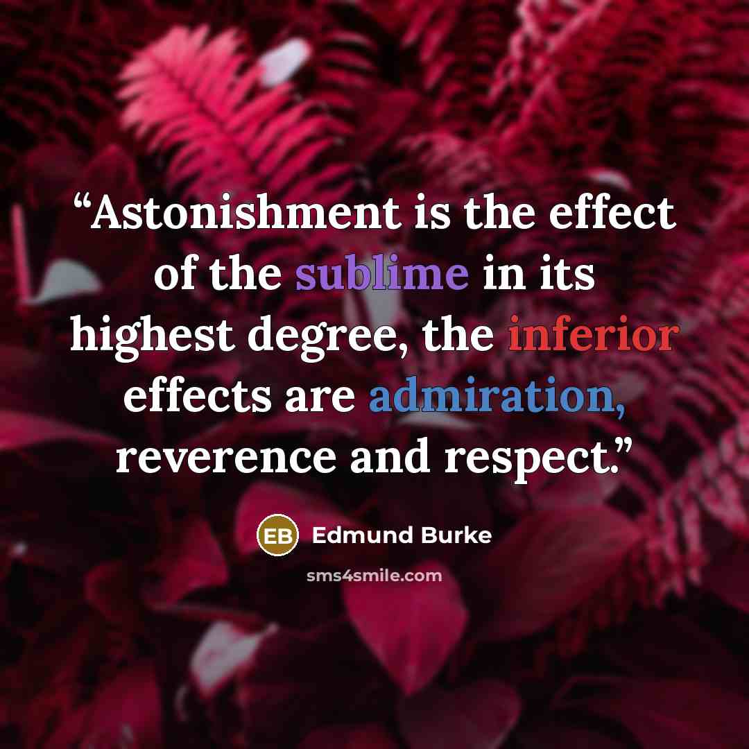 “Astonishment is the effect of the sublime in its highest degree, the inferior effects are admiration, reverence and respect.” quote by Edmund Burke