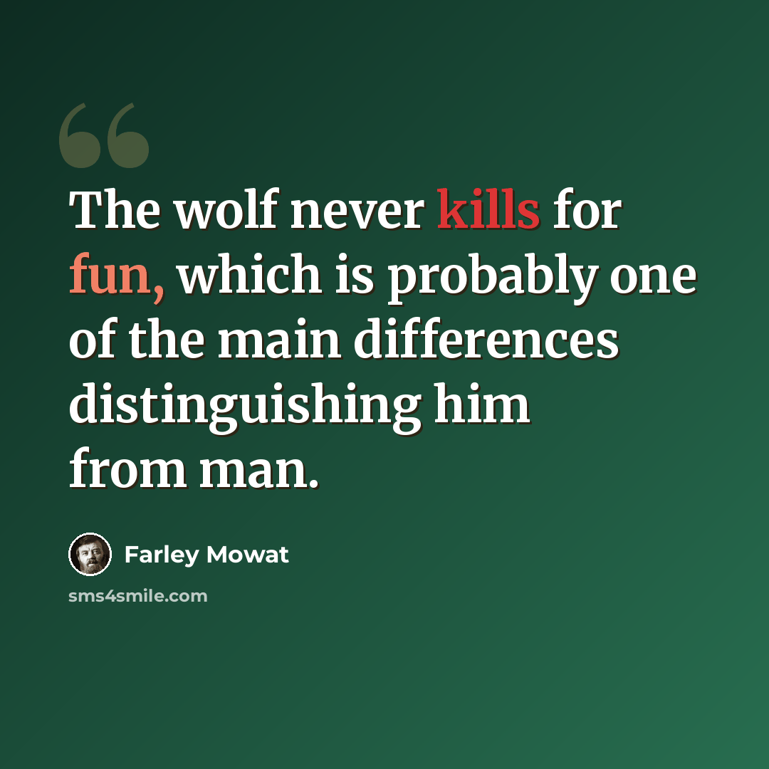 “The wolf never kills for fun, which is probably one of the main differences distinguishing him from man.” quote by Farley Mowat