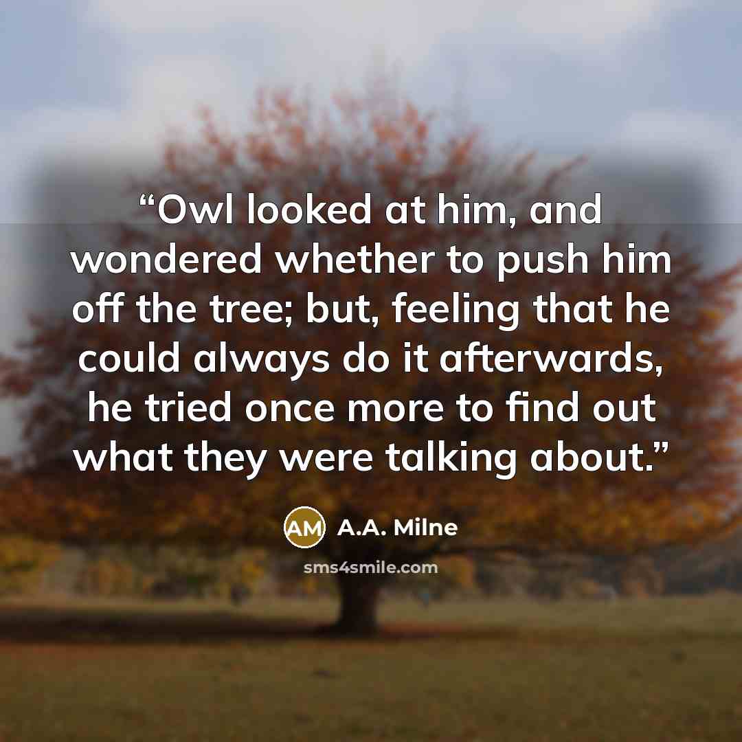 “Owl looked at him, and wondered whether to push him off the tree; but, feeling that he could always do it afterwards, he tried once more to find out what they were talking about.” quote by A.A. Milne
