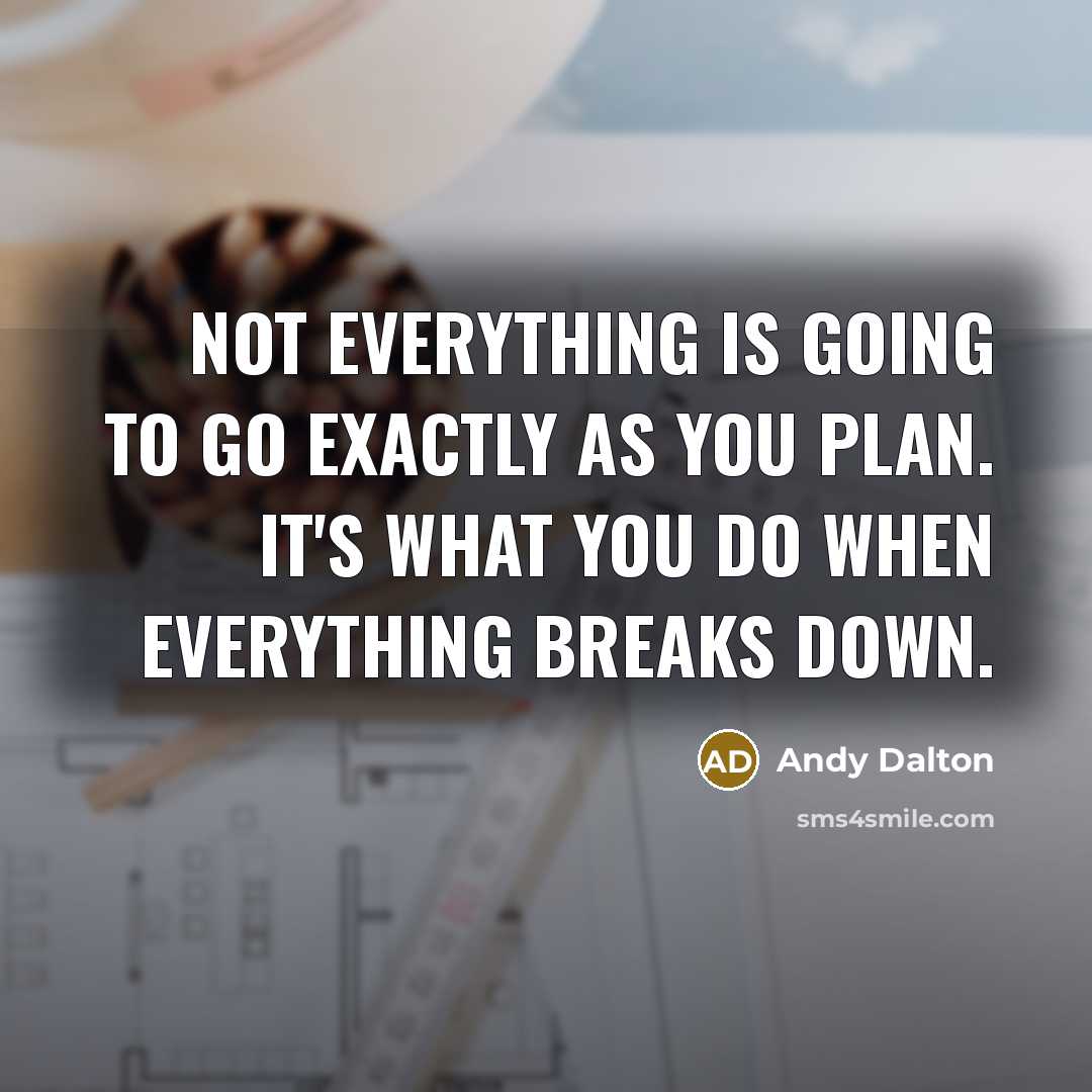 “Not everything is going to go exactly as you plan. It's what you do when everything breaks down.” quote by Andy Dalton