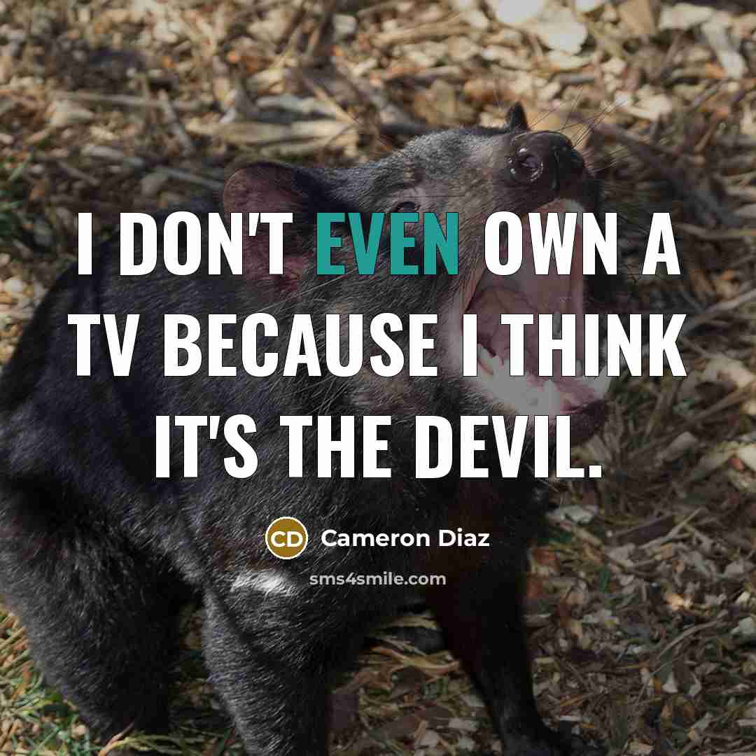 “I don't even own a TV because I think it's the devil.” quote by Cameron Diaz