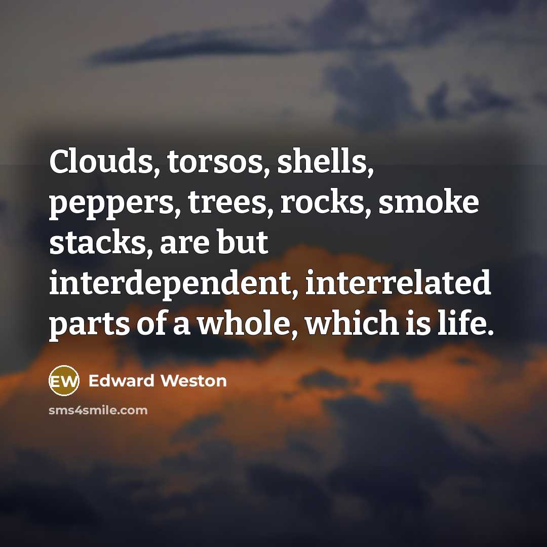 “Clouds, torsos, shells, peppers, trees, rocks, smoke stacks, are but interdependent, interrelated parts of a whole, which is life.” quote by Edward Weston